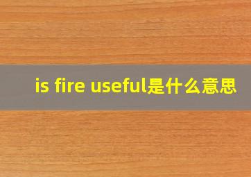 is fire useful是什么意思